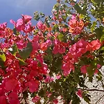 וילה Buganvilia - Private Pool - 6 Guests - אלבופיירה